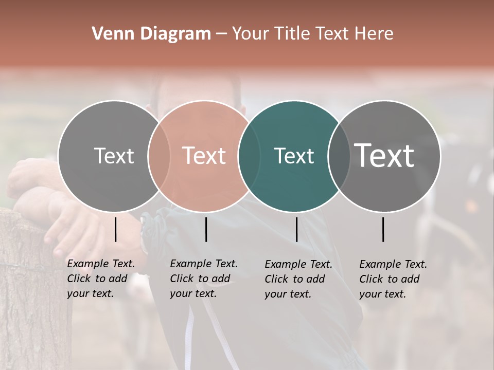 Countryside Cattle Agriculture PowerPoint Template