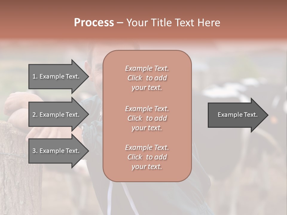 Countryside Cattle Agriculture PowerPoint Template