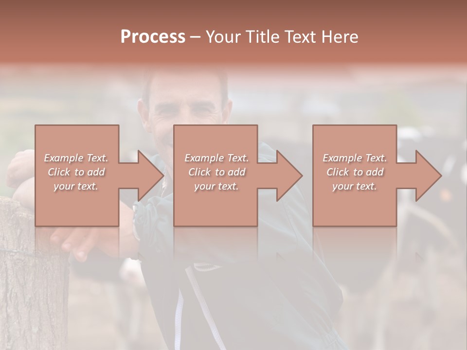 Countryside Cattle Agriculture PowerPoint Template