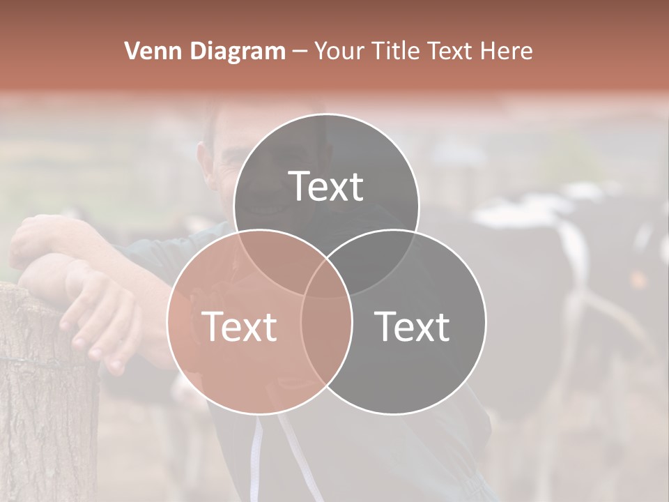 Countryside Cattle Agriculture PowerPoint Template