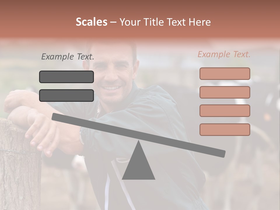 Countryside Cattle Agriculture PowerPoint Template