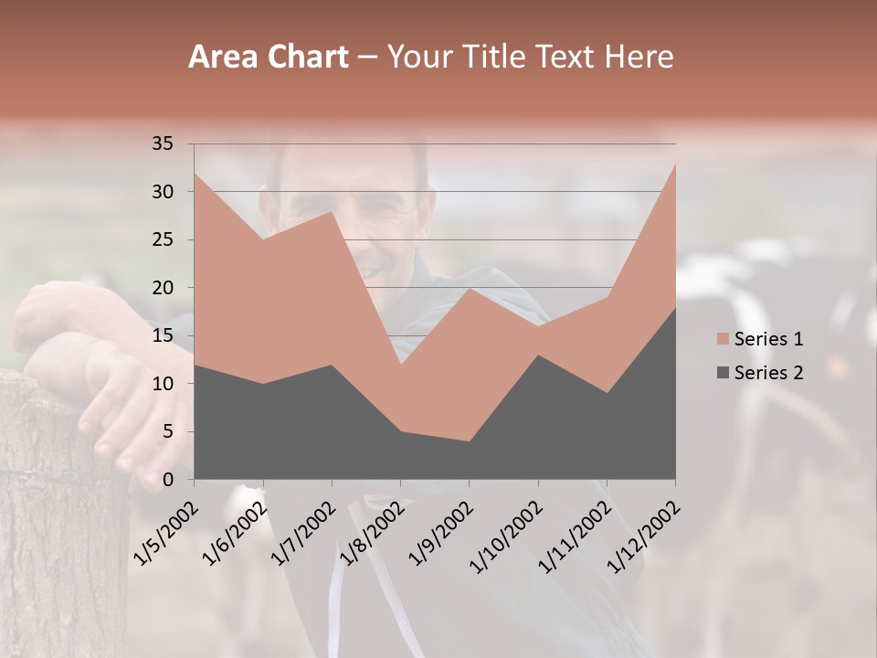 Countryside Cattle Agriculture PowerPoint Template