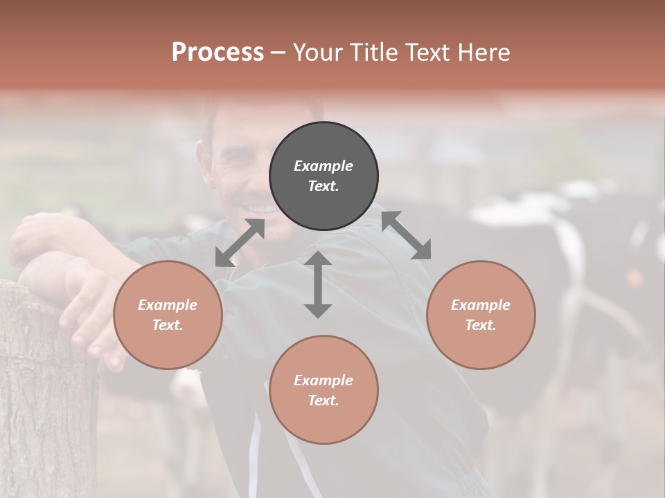 Countryside Cattle Agriculture PowerPoint Template