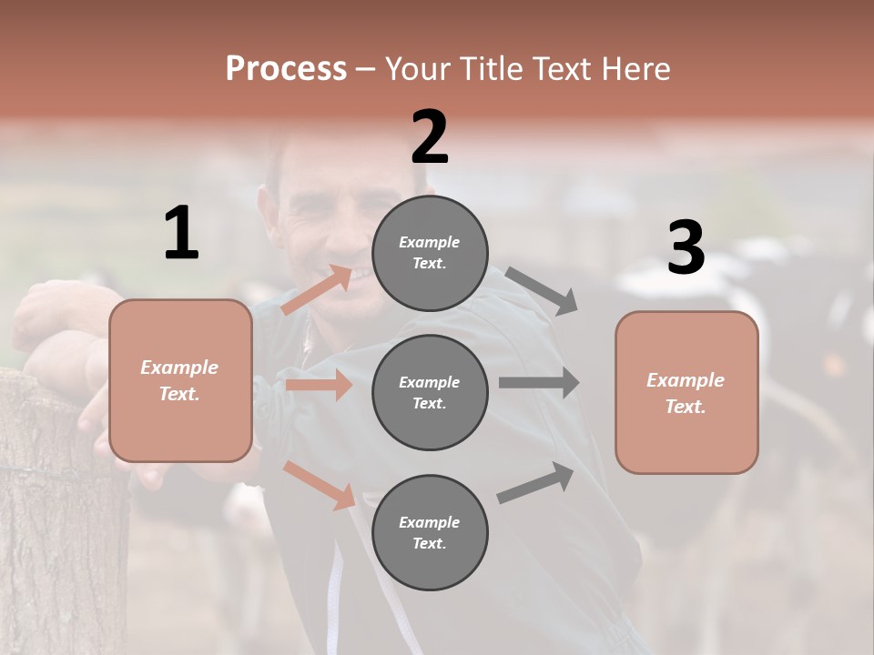 Countryside Cattle Agriculture PowerPoint Template