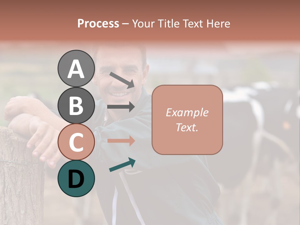 Countryside Cattle Agriculture PowerPoint Template