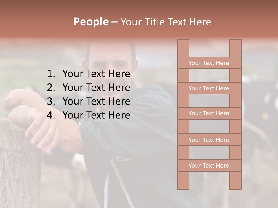 Countryside Cattle Agriculture PowerPoint Template