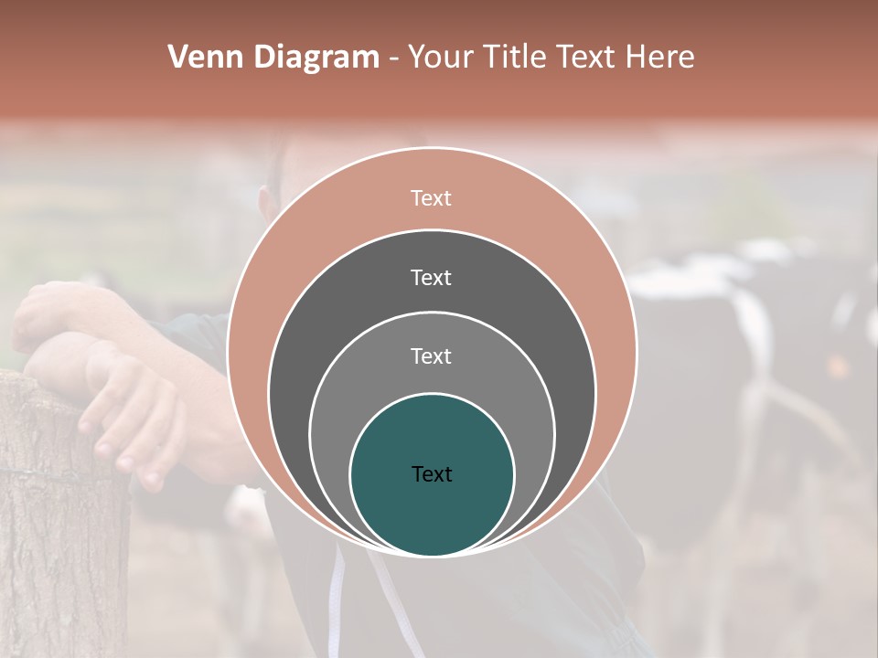 Countryside Cattle Agriculture PowerPoint Template