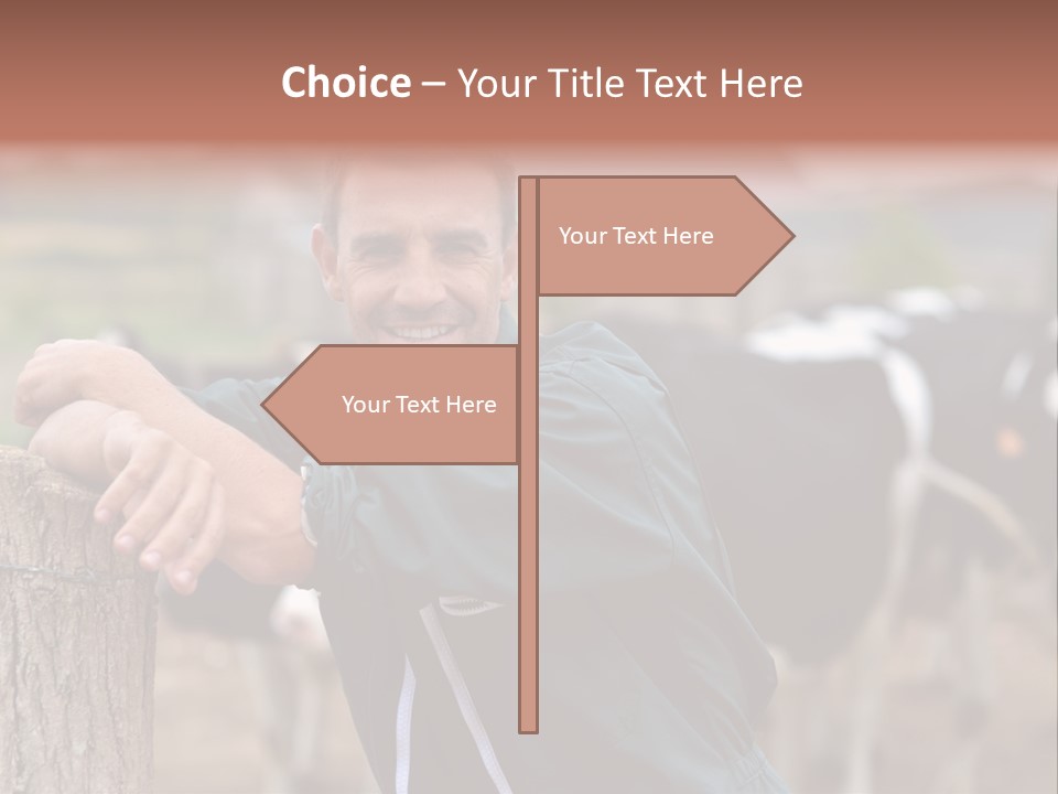 Countryside Cattle Agriculture PowerPoint Template