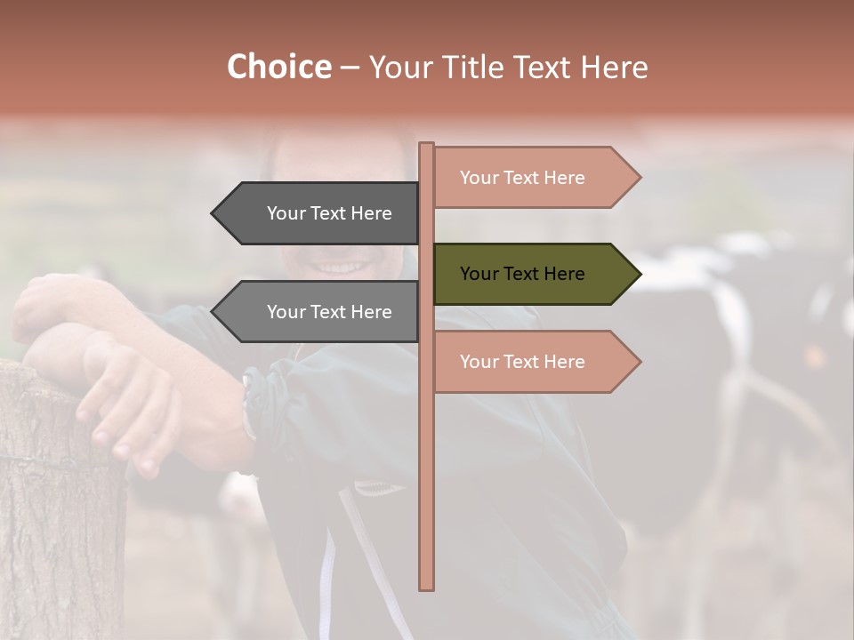Countryside Cattle Agriculture PowerPoint Template