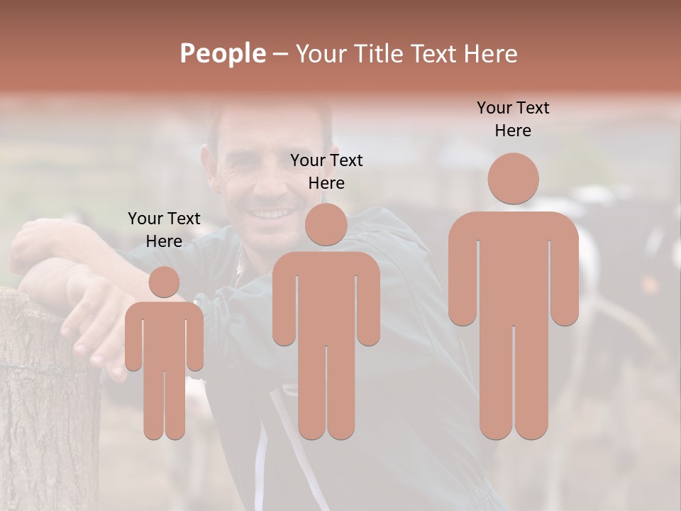 Countryside Cattle Agriculture PowerPoint Template