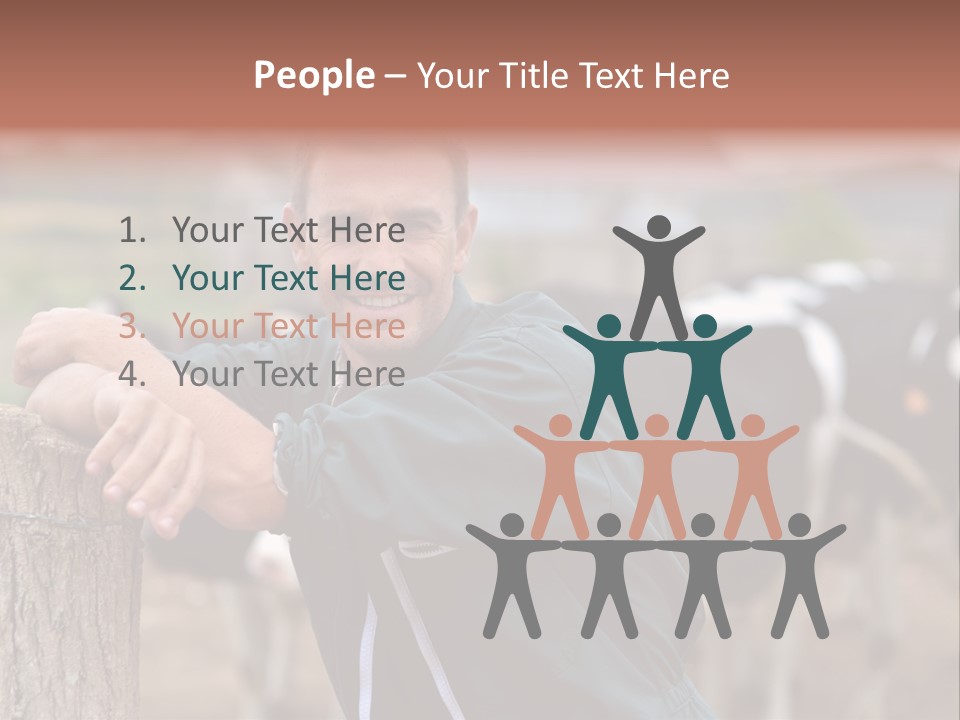 Countryside Cattle Agriculture PowerPoint Template