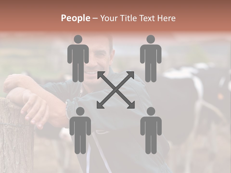 Countryside Cattle Agriculture PowerPoint Template