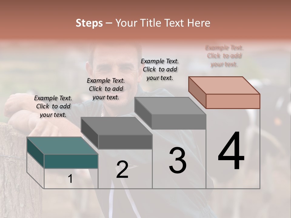 Countryside Cattle Agriculture PowerPoint Template