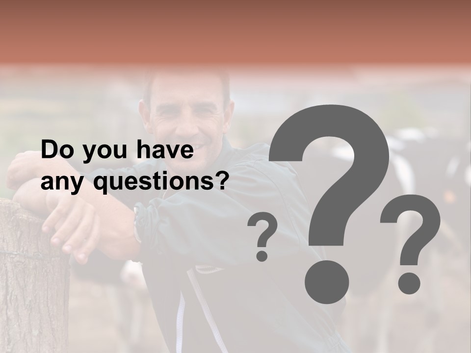 Countryside Cattle Agriculture PowerPoint Template