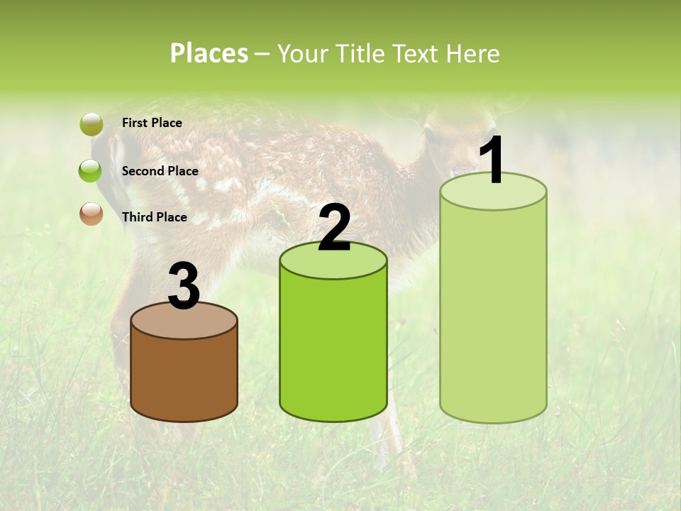 Spring Meadow Hunting PowerPoint Template