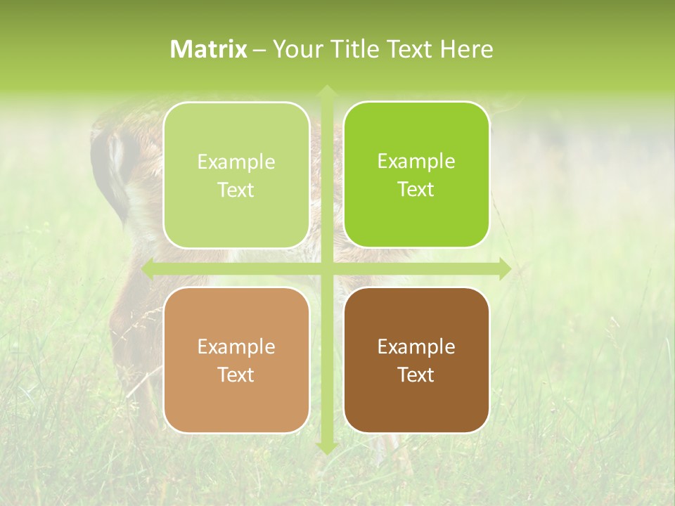 Spring Meadow Hunting PowerPoint Template