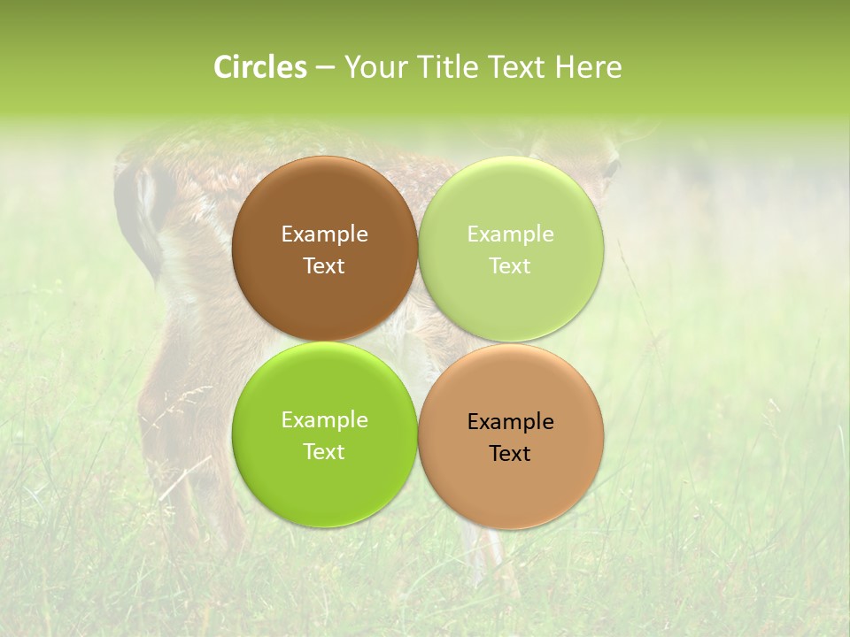 Spring Meadow Hunting PowerPoint Template