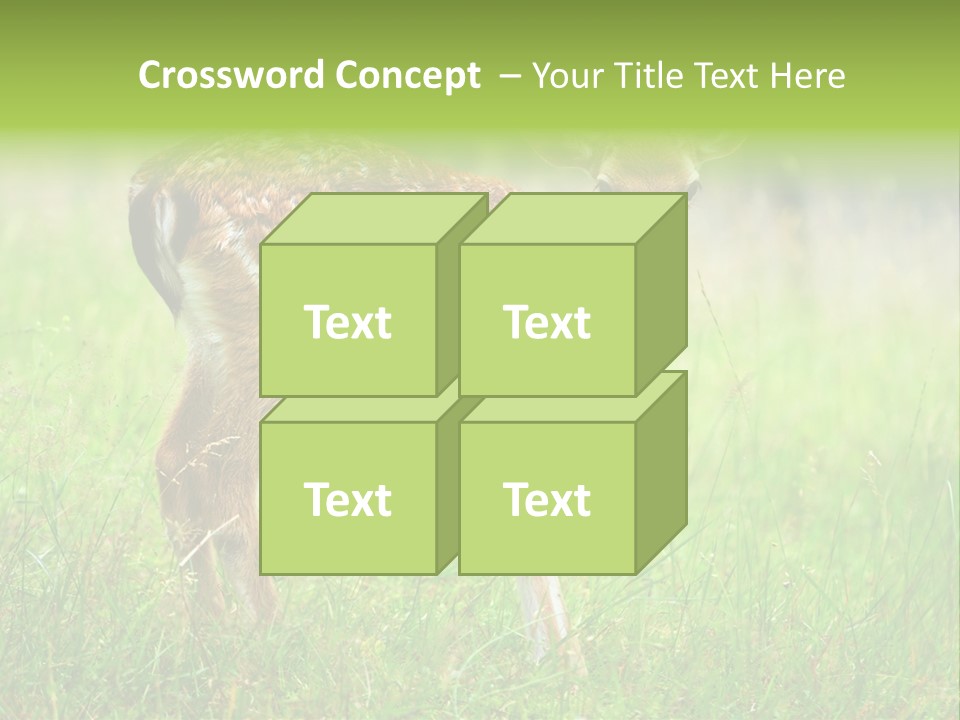 Spring Meadow Hunting PowerPoint Template