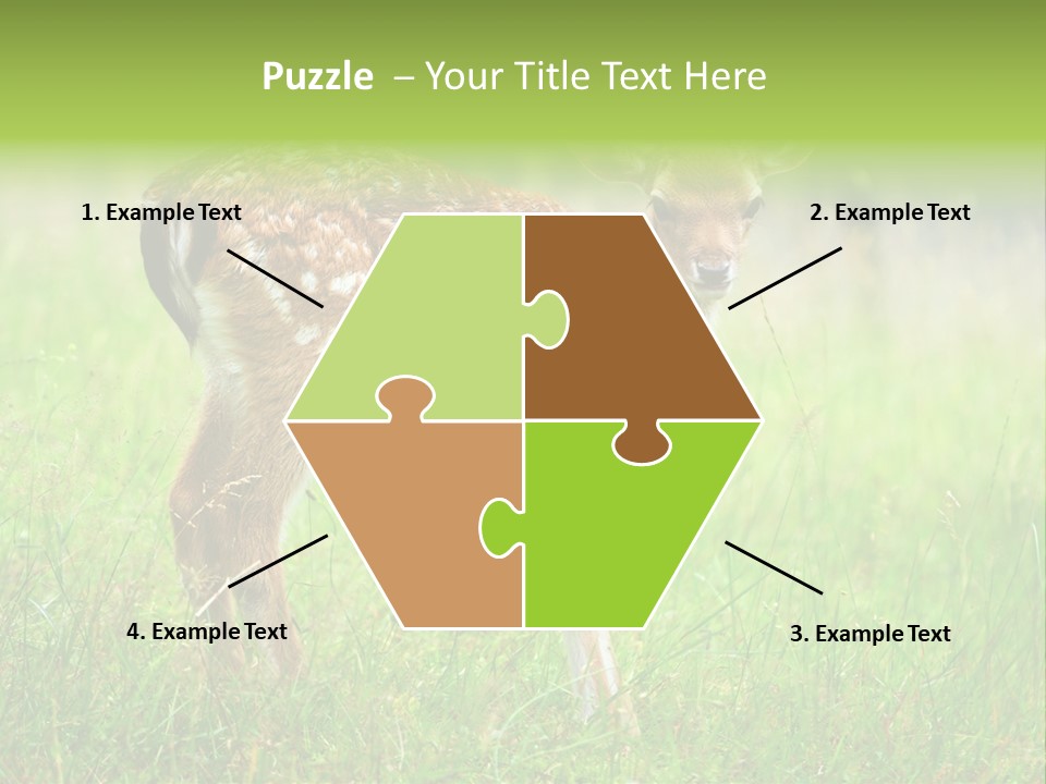 Spring Meadow Hunting PowerPoint Template