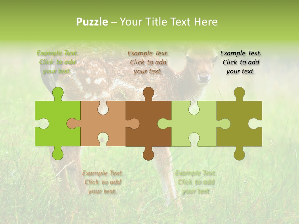 Spring Meadow Hunting PowerPoint Template