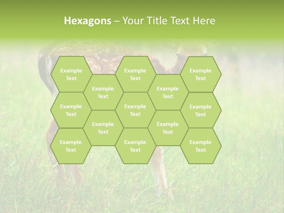 Spring Meadow Hunting PowerPoint Template