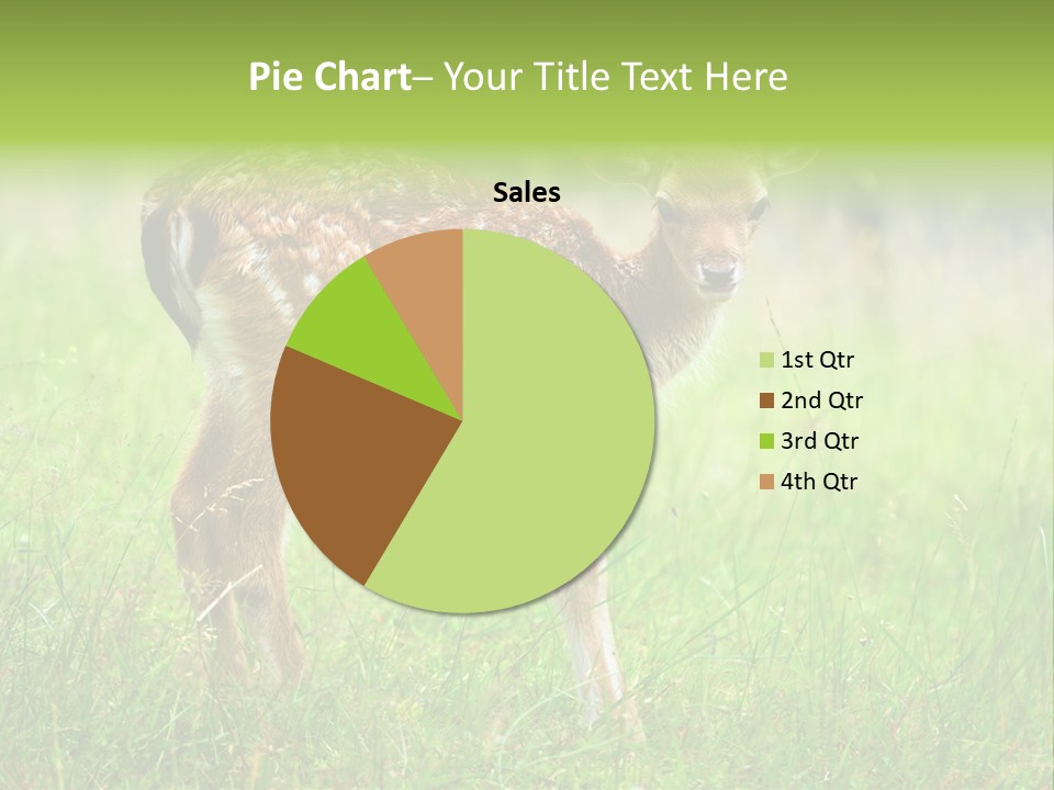 Spring Meadow Hunting PowerPoint Template