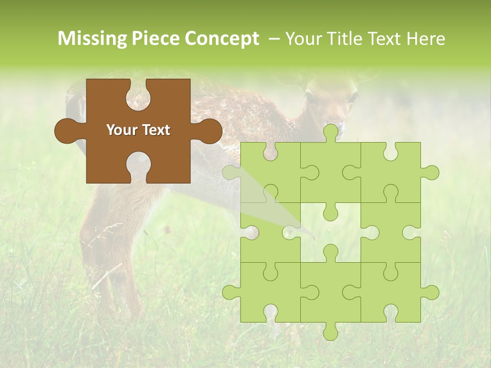 Spring Meadow Hunting PowerPoint Template