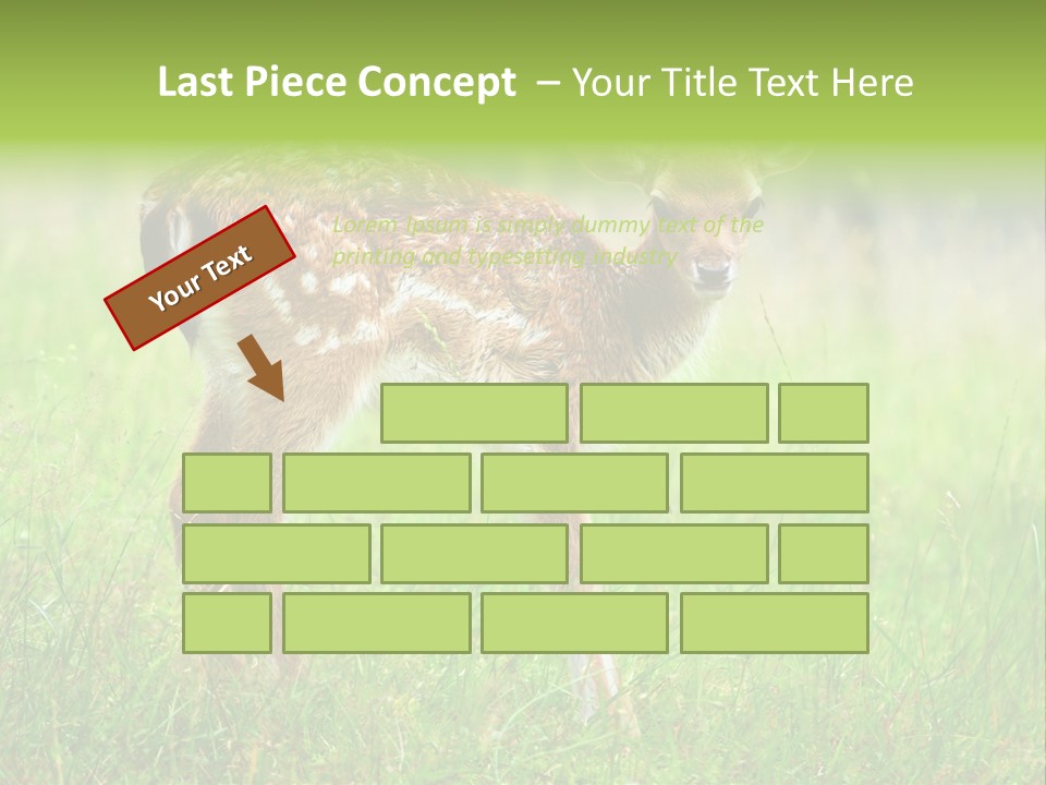 Spring Meadow Hunting PowerPoint Template