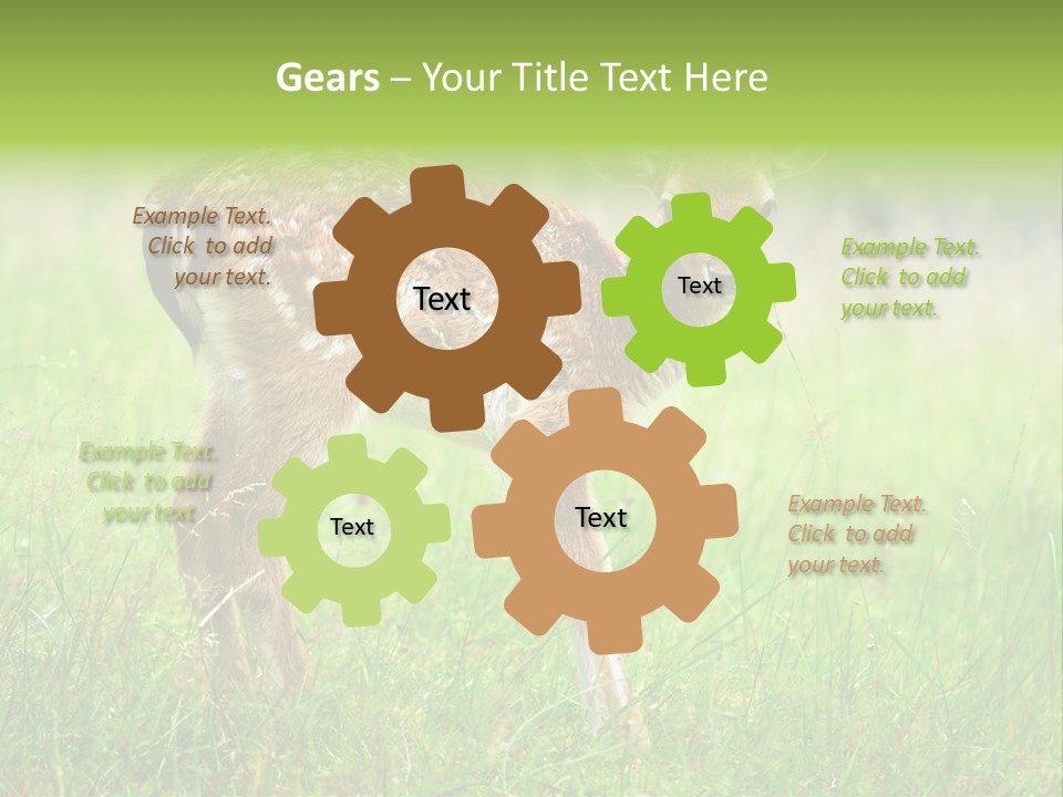 Spring Meadow Hunting PowerPoint Template