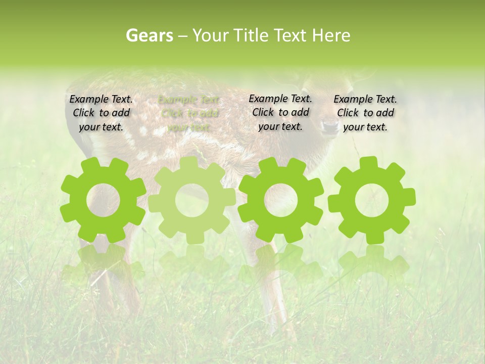 Spring Meadow Hunting PowerPoint Template