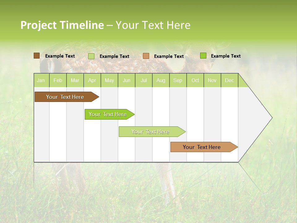 Spring Meadow Hunting PowerPoint Template