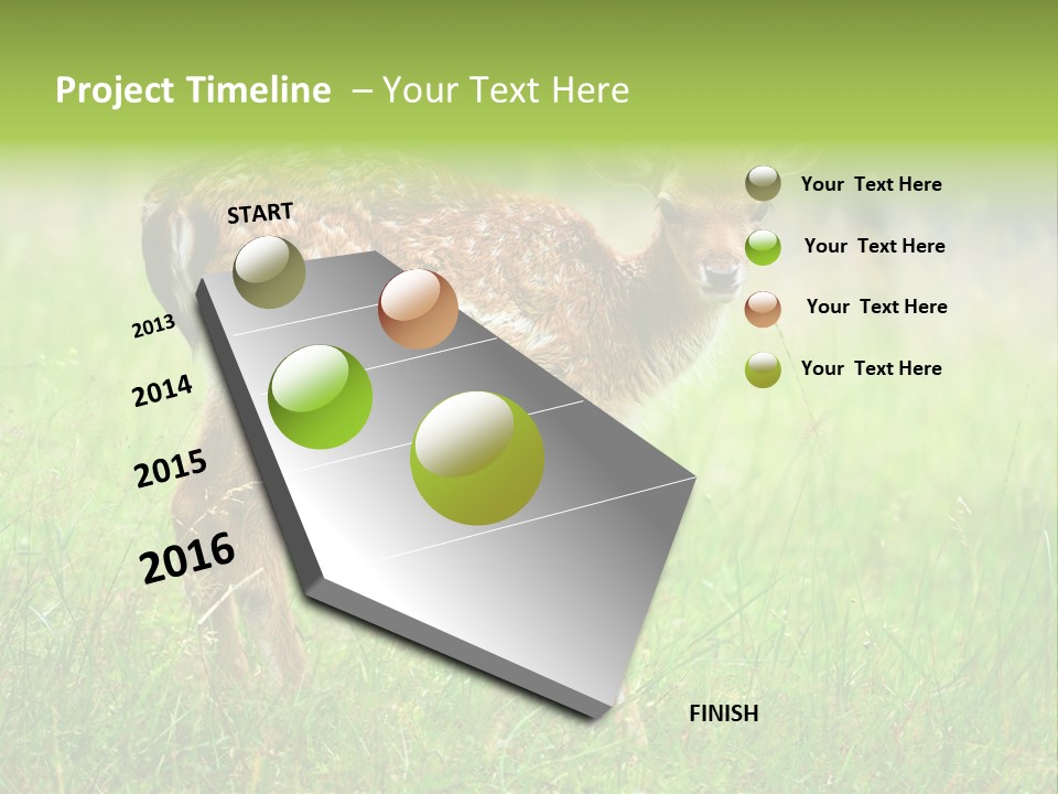 Spring Meadow Hunting PowerPoint Template