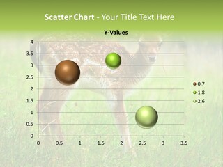 Spring Meadow Hunting PowerPoint Template