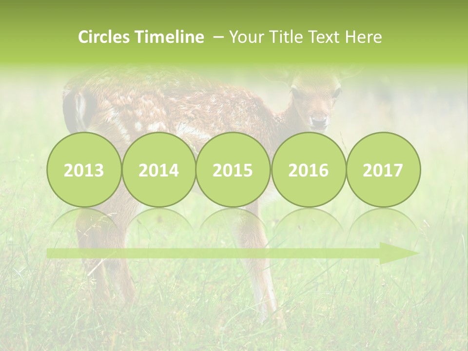 Spring Meadow Hunting PowerPoint Template