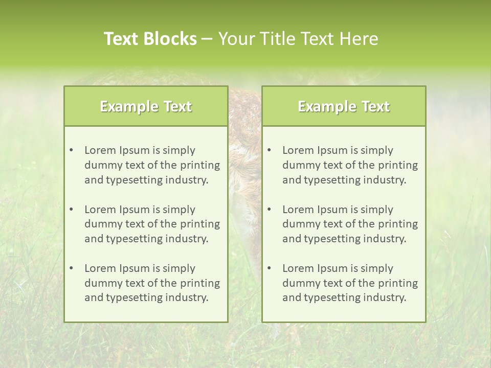 Spring Meadow Hunting PowerPoint Template