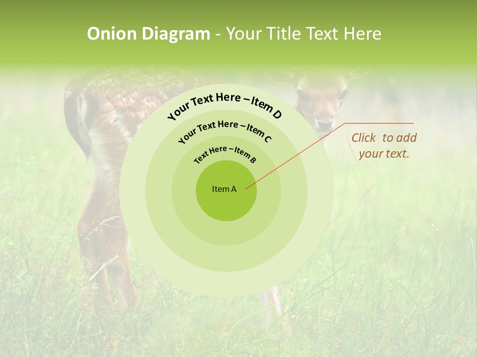 Spring Meadow Hunting PowerPoint Template