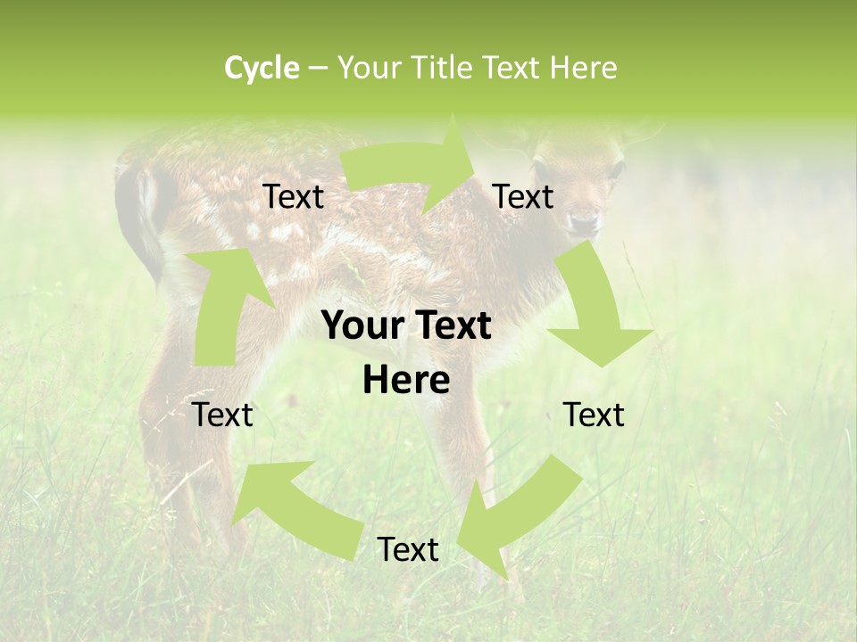 Spring Meadow Hunting PowerPoint Template