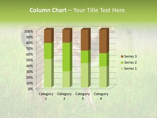 Spring Meadow Hunting PowerPoint Template