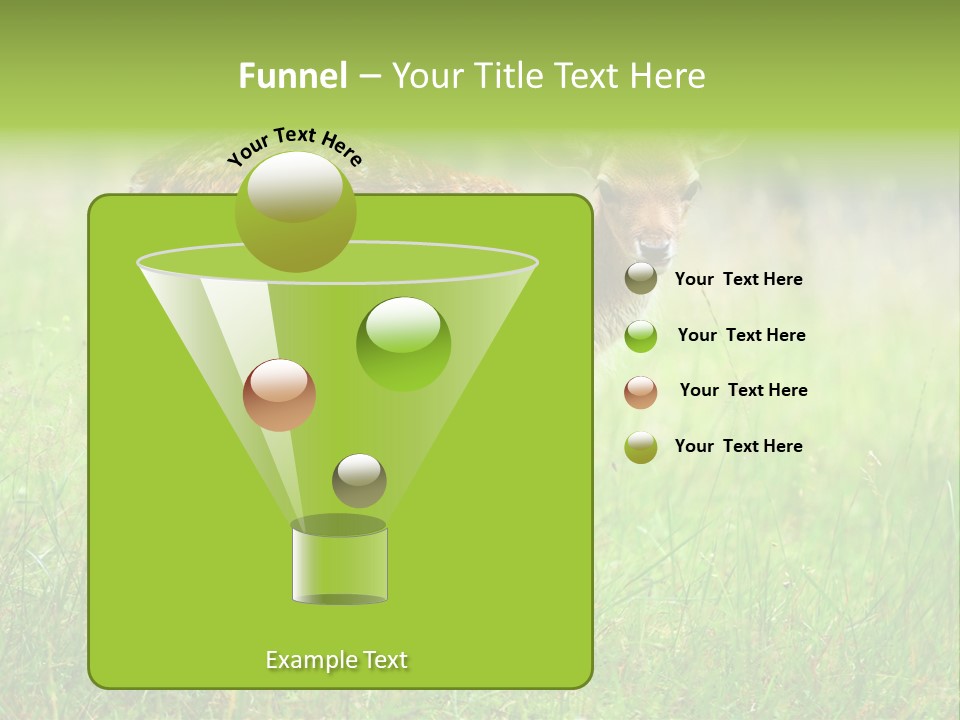 Spring Meadow Hunting PowerPoint Template