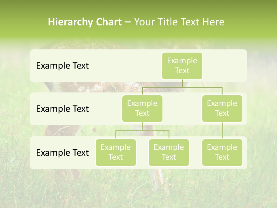 Spring Meadow Hunting PowerPoint Template