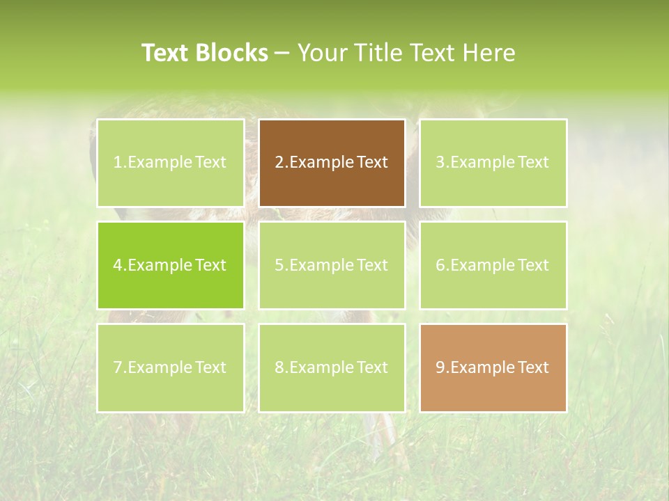 Spring Meadow Hunting PowerPoint Template