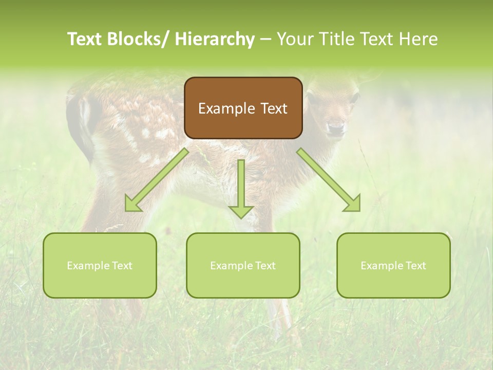 Spring Meadow Hunting PowerPoint Template
