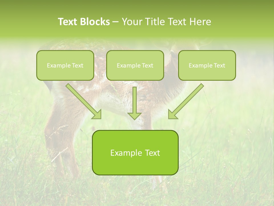 Spring Meadow Hunting PowerPoint Template