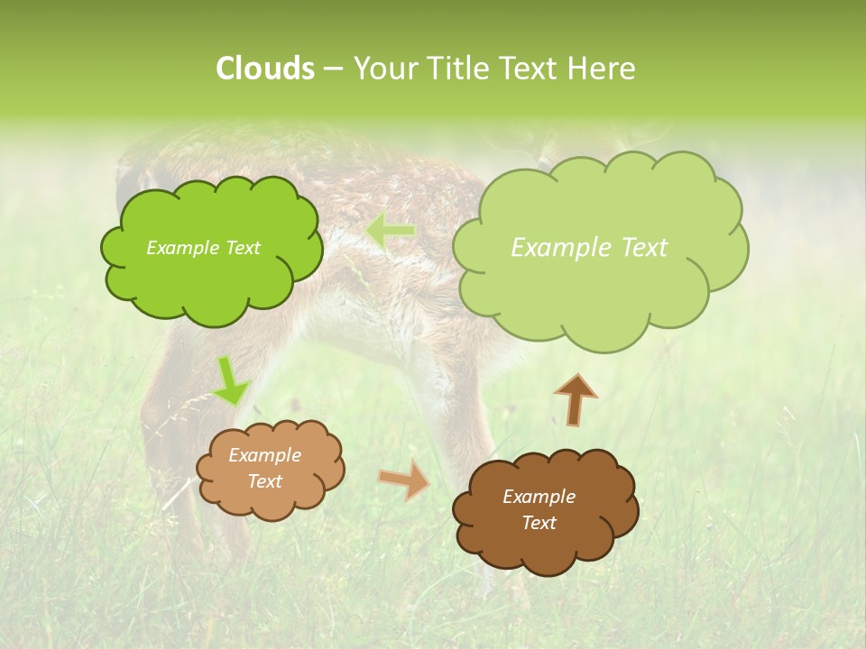 Spring Meadow Hunting PowerPoint Template