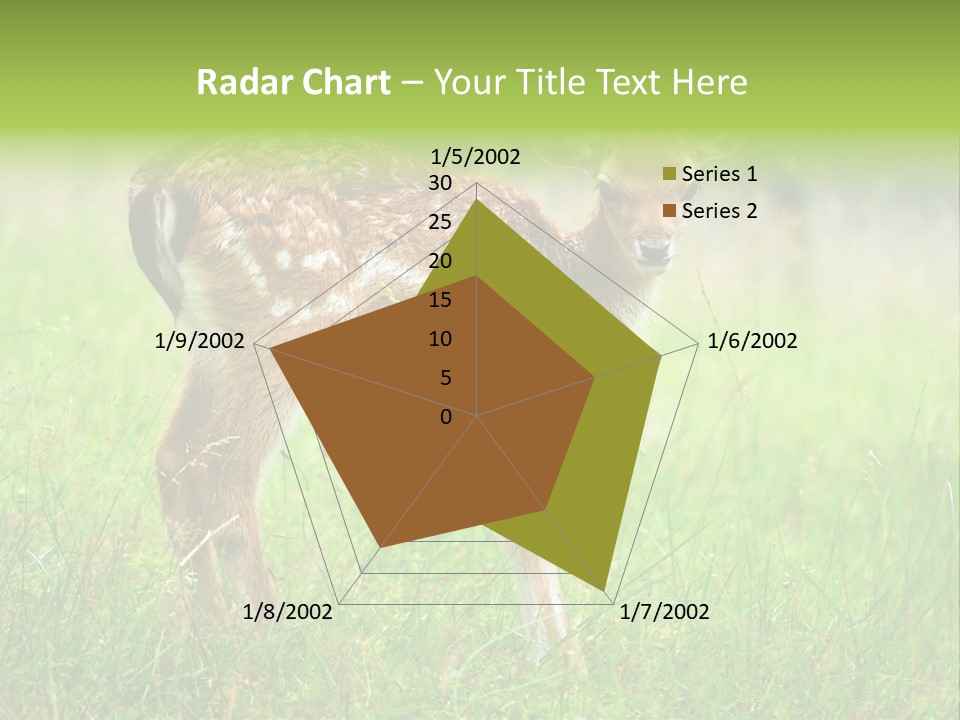 Spring Meadow Hunting PowerPoint Template