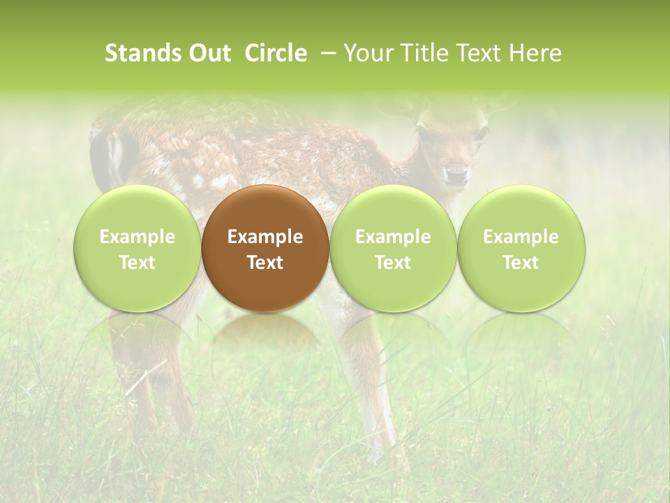 Spring Meadow Hunting PowerPoint Template