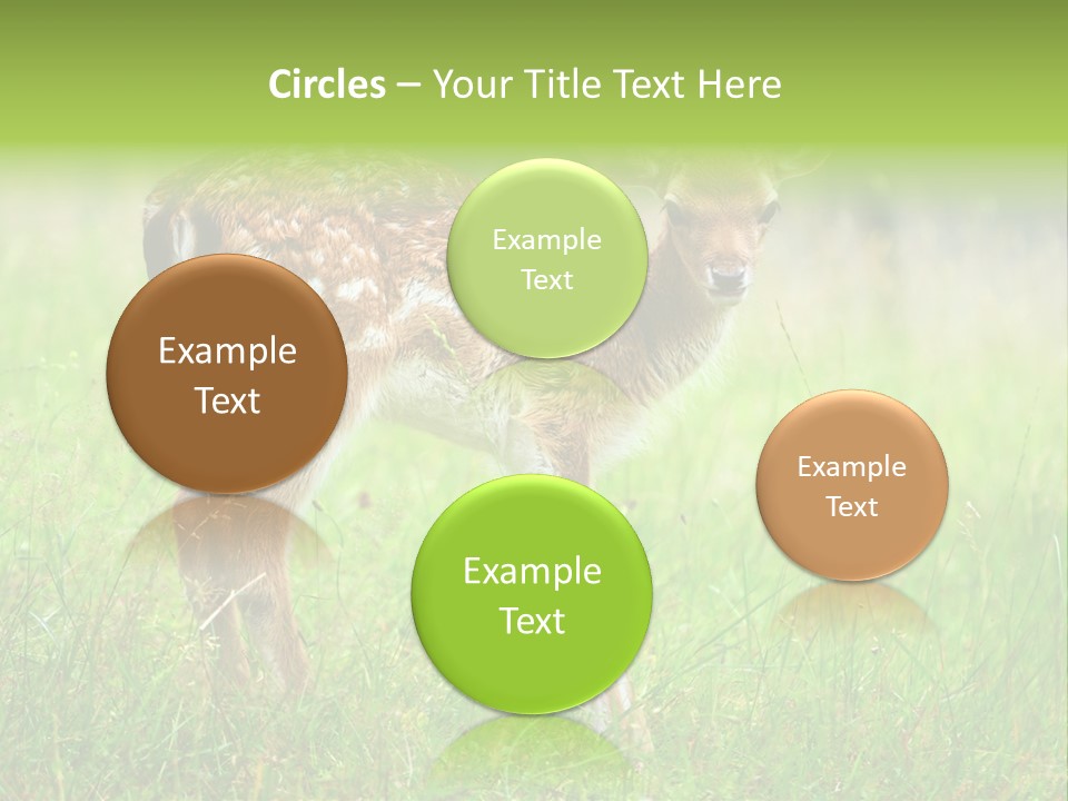 Spring Meadow Hunting PowerPoint Template