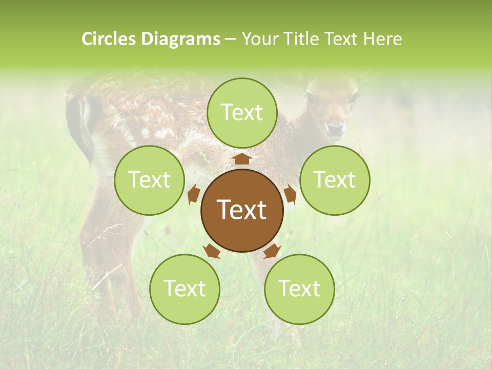 Spring Meadow Hunting PowerPoint Template