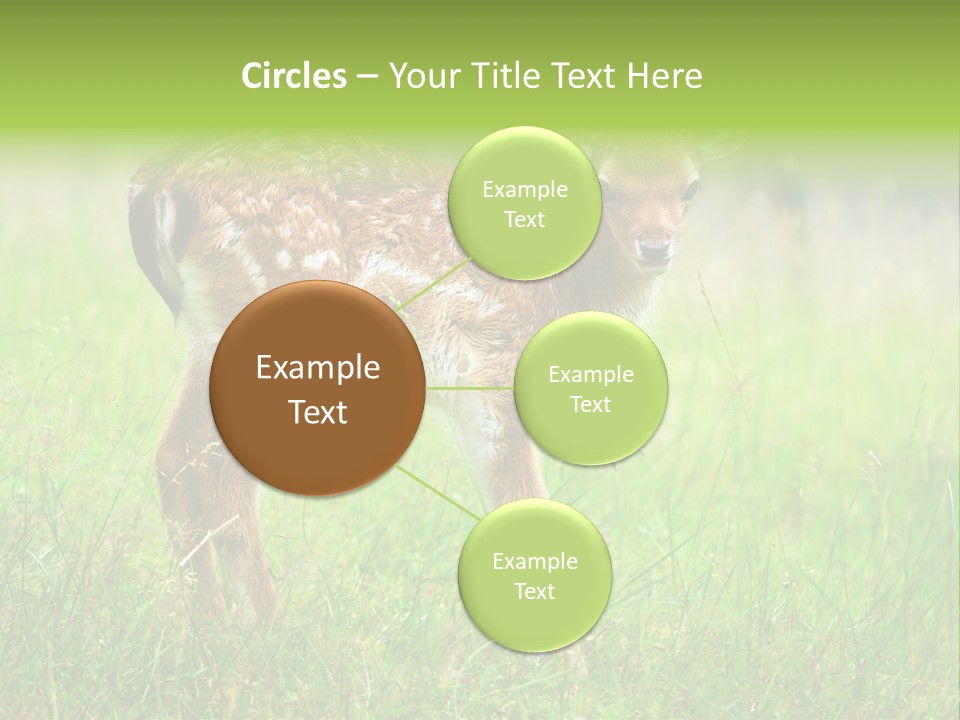 Spring Meadow Hunting PowerPoint Template