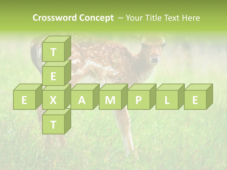 Spring Meadow Hunting PowerPoint Template